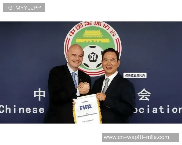 法足协主席：不想搅扰备战 新帅或下一年春季发布